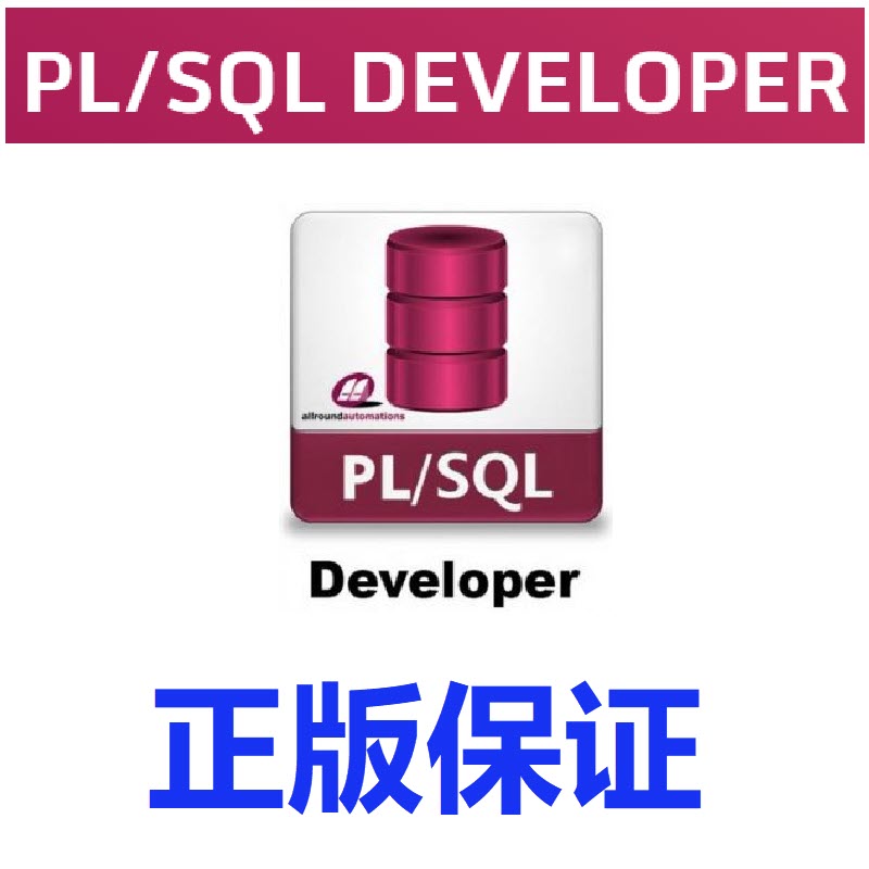 正版PL/SQL Developer 开发环境 PLSQL Developer 数据库开发工具